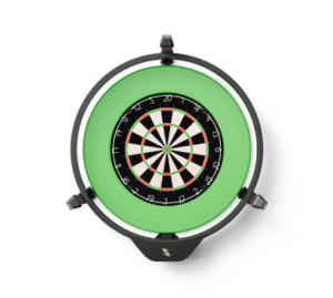 Professional Dartboard